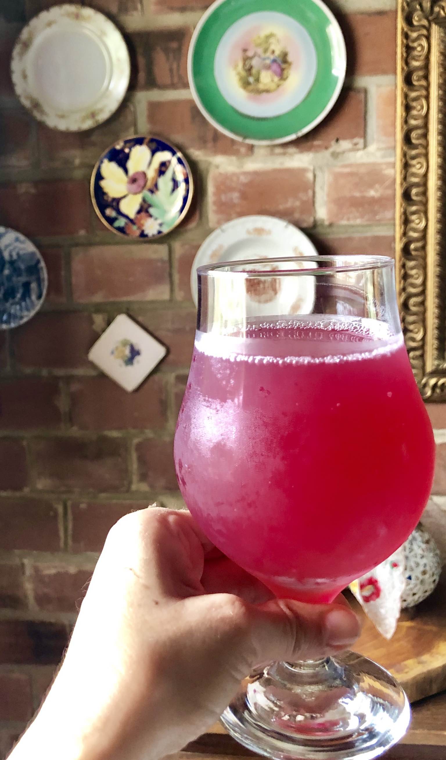 Kefir e kombucha (Probioticos)