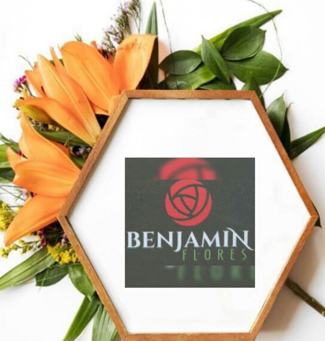 Benjamimflores